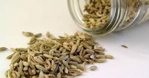 ما هو الشمر بالدارجة المغربية